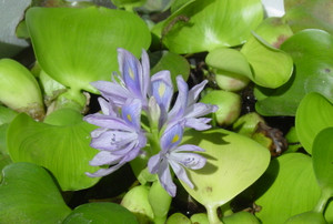 Dsc06080_cr
