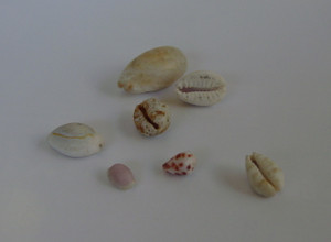 Dsc06064_cr