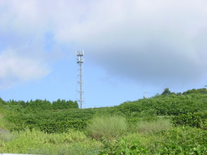 Dsc06205