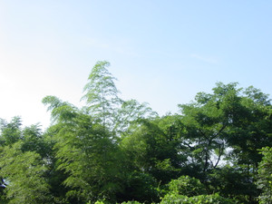 Dsc06207