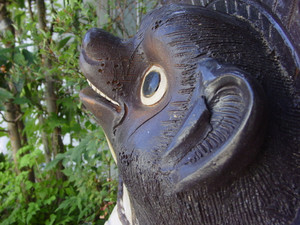 Dsc06337