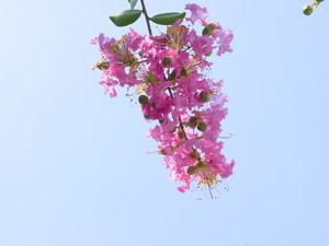 Dsc06350