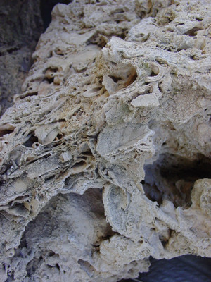 Dsc06043a
