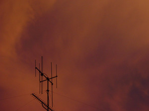 Dsc06975sx