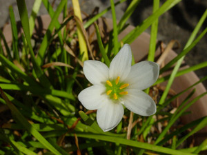 Dsc07005sx