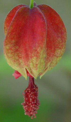 Dsc06972_crjpgasx