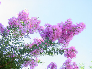 Dsc06841sx