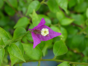 Dsc07319sx