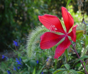 Dsc07728_crjpga