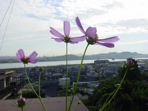 Dsc07900sx