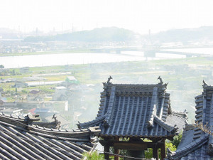 Dsc08647sx_2