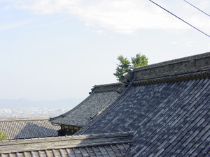 Dsc08867sx