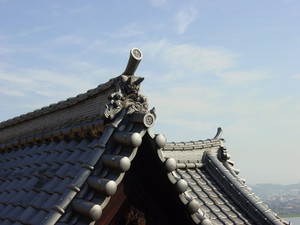 Dsc08884sx