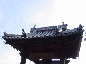 Dsc08892sx