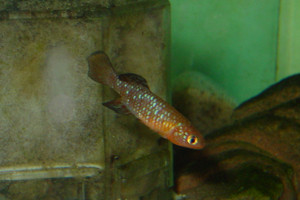 Dsc09111_crjpga