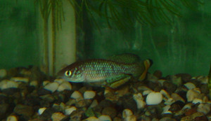 Dsc09149_crjpga