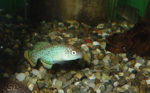 Dsc09180_crjpga