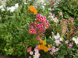 Dsc09402sx