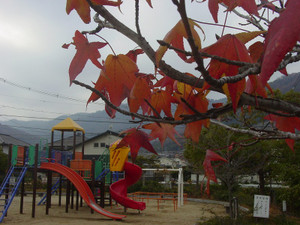 Dsc09650sx_2