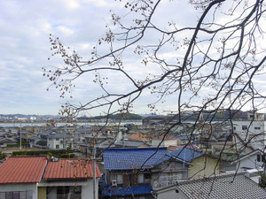 Dsc09766sx