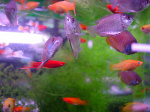 Dsc00012sx