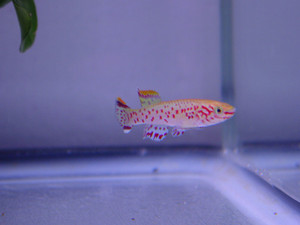 Dsc09840sx