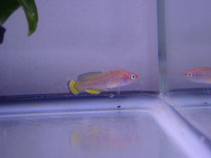 Dsc09869sx