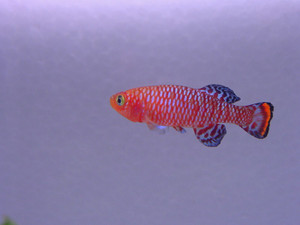 Dsc09895sx