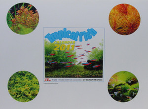 Dsc00018_crsx