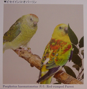 Dsc09979_crsx