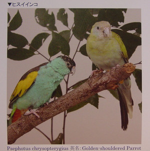Dsc09980_crsx