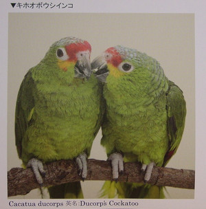 Dsc00011_crsx