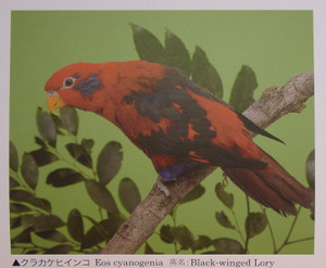 Dsc00016_crsx