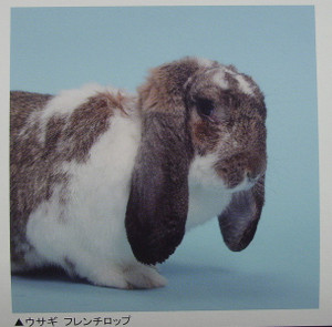 Dsc09941_crsx