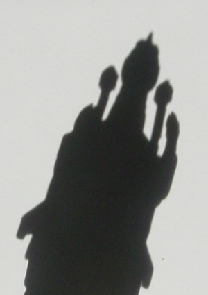 Dsc00003_crsx