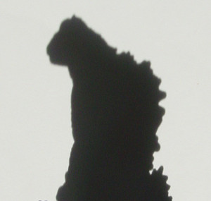 Dsc00017_crsx