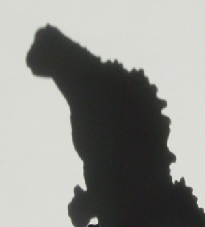 Dsc00018_crsx