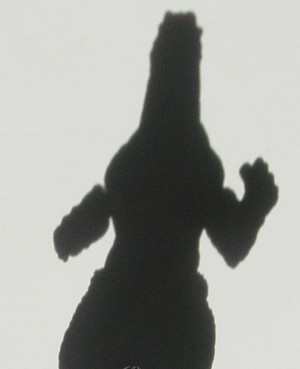 Dsc00020_crsx