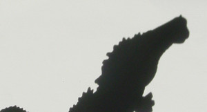 Dsc00021_crsx