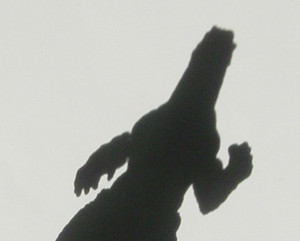 Dsc00025_crsx
