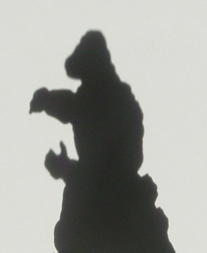 Dsc00028_crsx