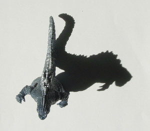 Dsc00023_crsx