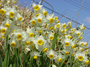 Dsc08790sx