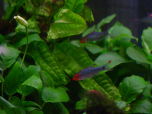 Dsc08878sx_3