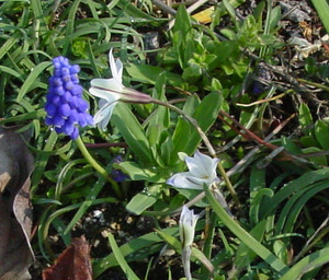 Dsc09022_cr