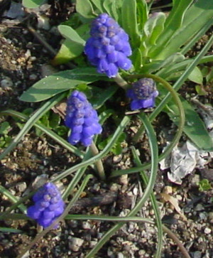 Dsc09022_crjpg1