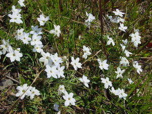 Dsc09042sx