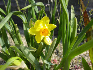 Dsc09054sx