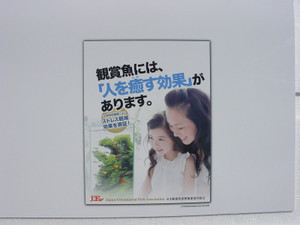 Dsc09870sx