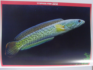 Dsc09882sx